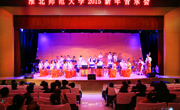 公司成功举办2015新年音乐会